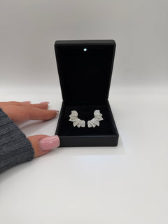 Orecchini FOGLIE 🍃 argento