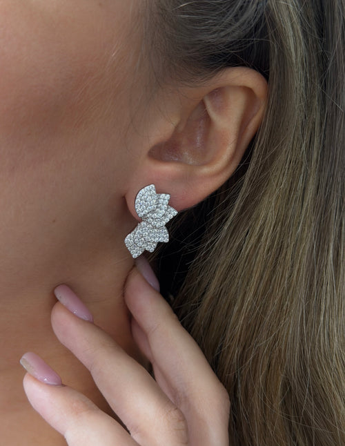 Orecchini FOGLIE 🍃 argento