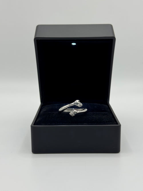 Anello ABBRACCIO argento