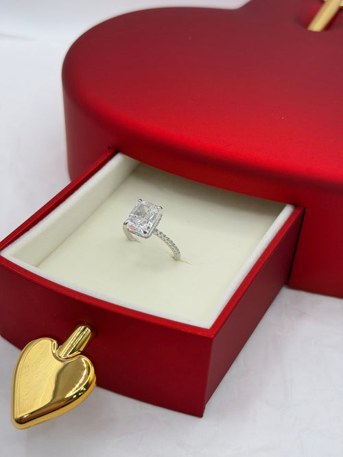 Anello LEGAME argento + box San Valentino 🌹